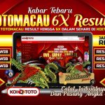 Panduan Lengkap Pasaran Koitoto – Menang Besar!