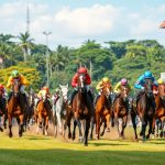 odds balap kuda terbaik