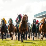 prediksi balap kuda akurat